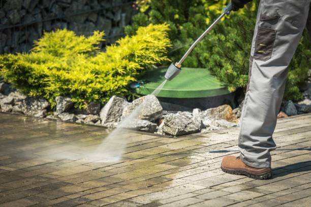 Best Window and Screen Pressure Cleaning in Dresden, TN