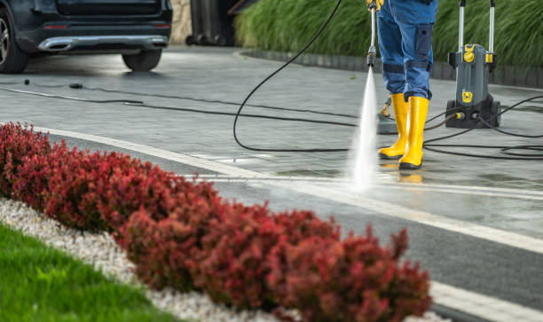 Best Rust and Stain Removal in Dresden, TN
